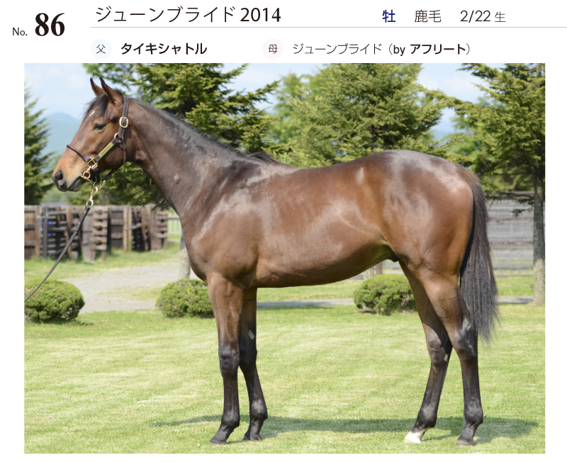 ジューンブライド2014全身写真