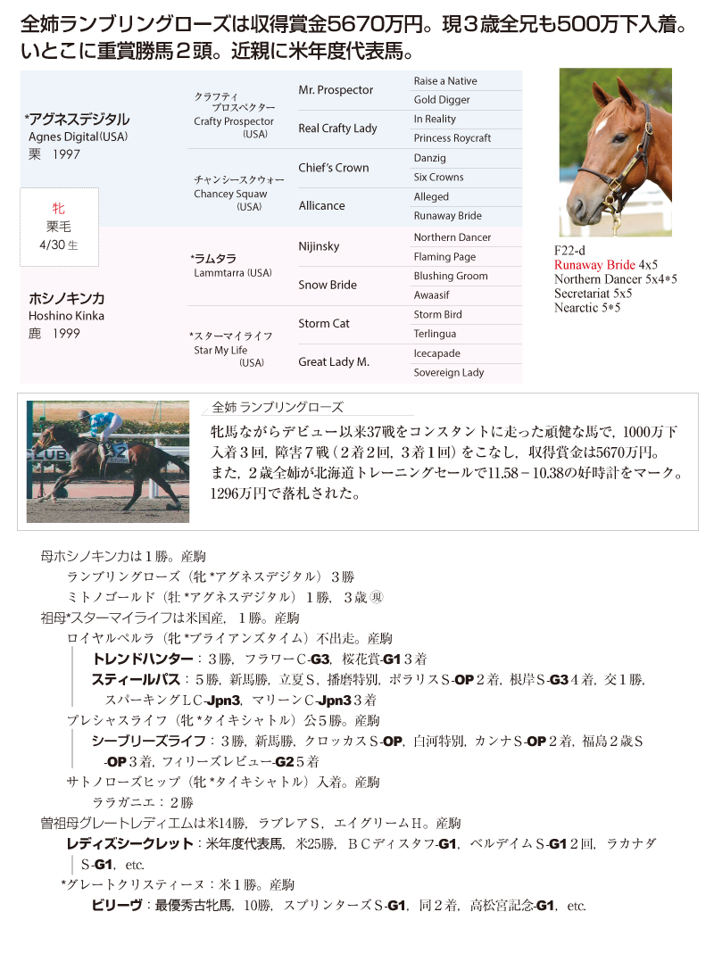 ホシノキンカ2015基本情報