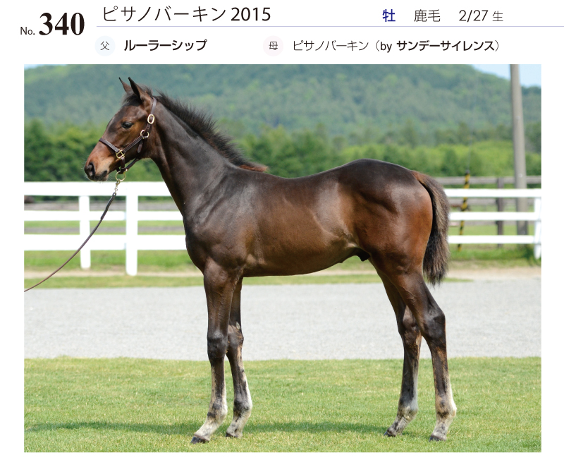 ピサノバーキン2015全身写真