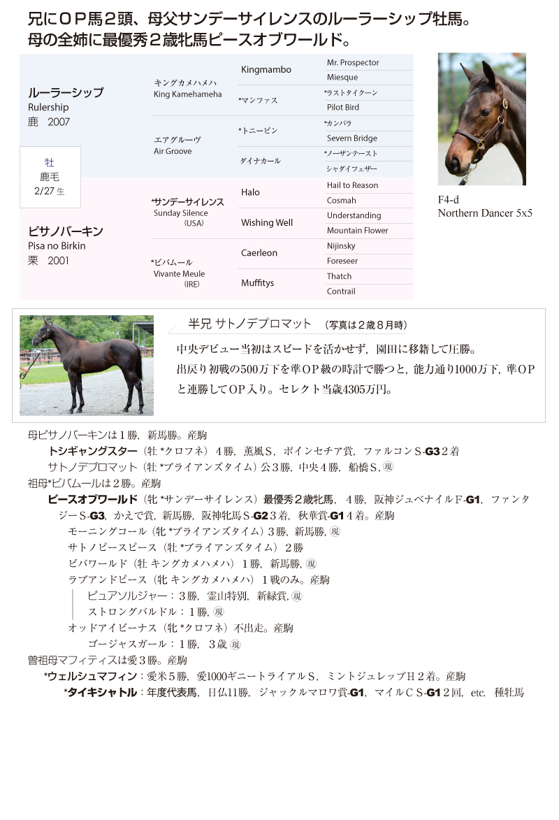 ピサノバーキン2015基本情報