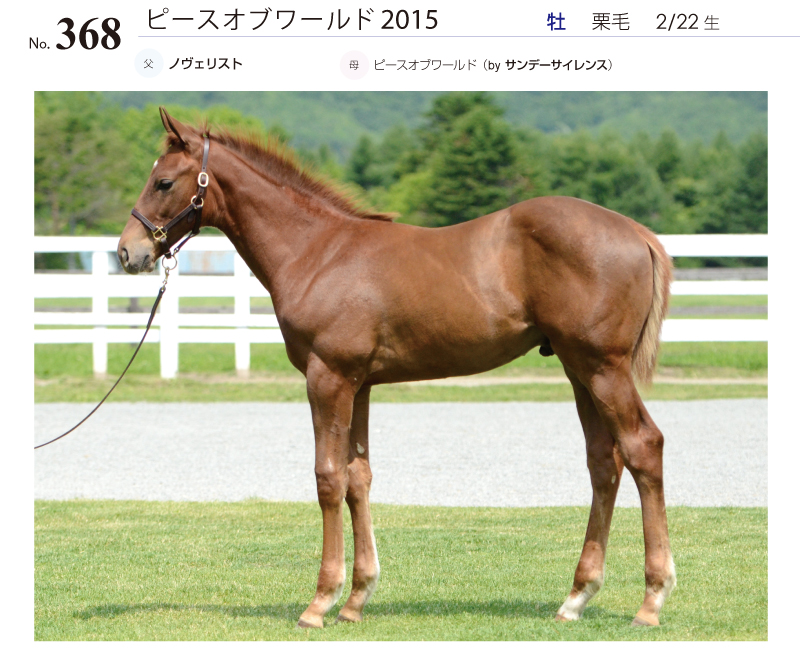 ピースオブワールド2015全身写真