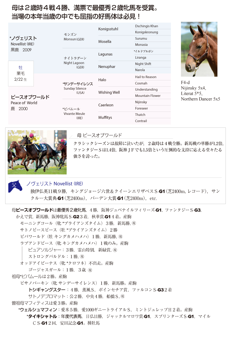 ピースオブワールド2015基本情報