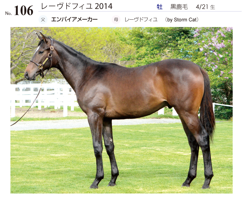 レーヴドフィユ2014全身写真