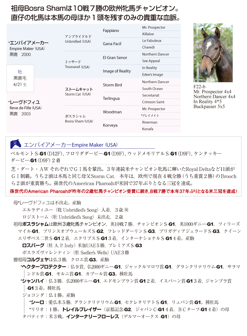 レーヴドフィユ2014基本情報