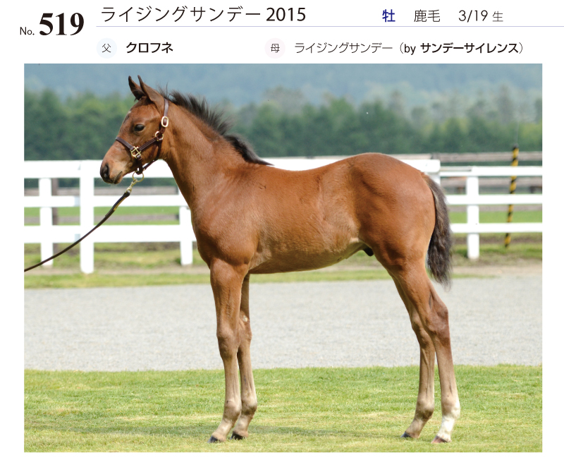 ライジングサンデー2015全身写真