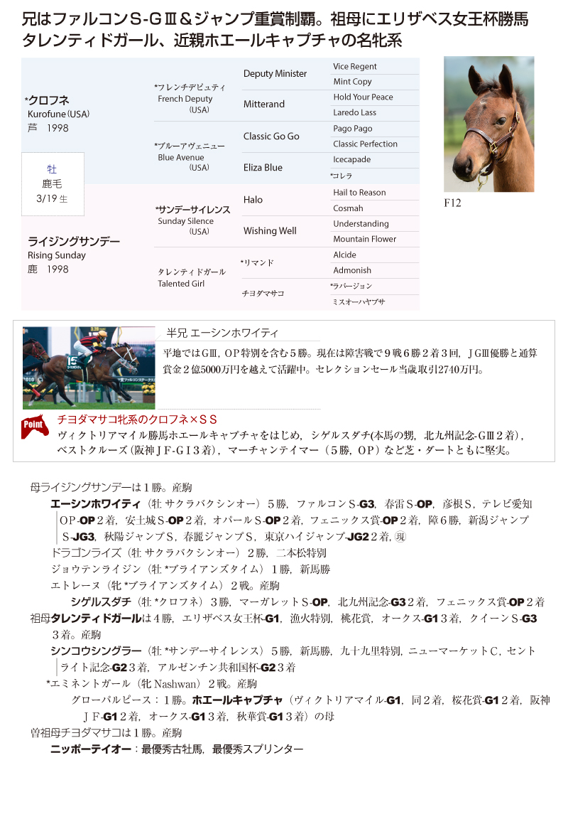 ライジングサンデー2015基本情報