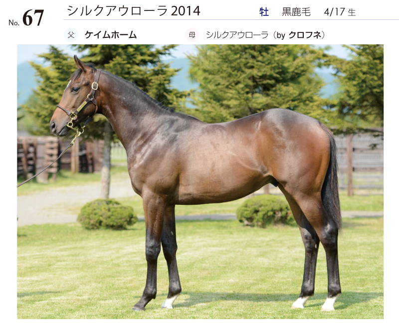 ガトーショコラ2014全身写真
