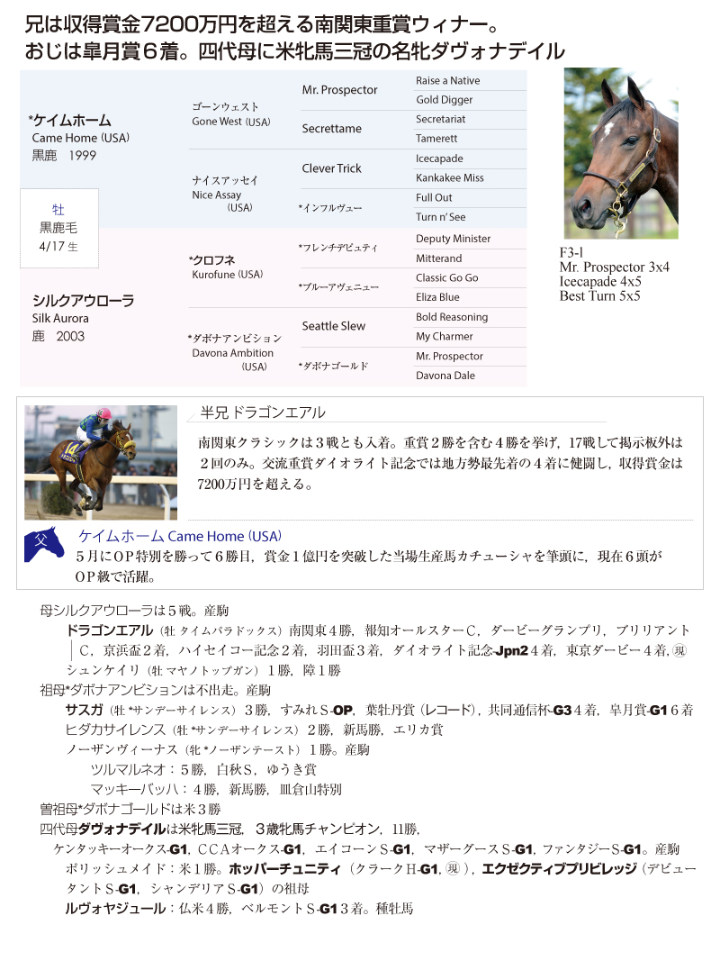 ガトーショコラ2015基本情報