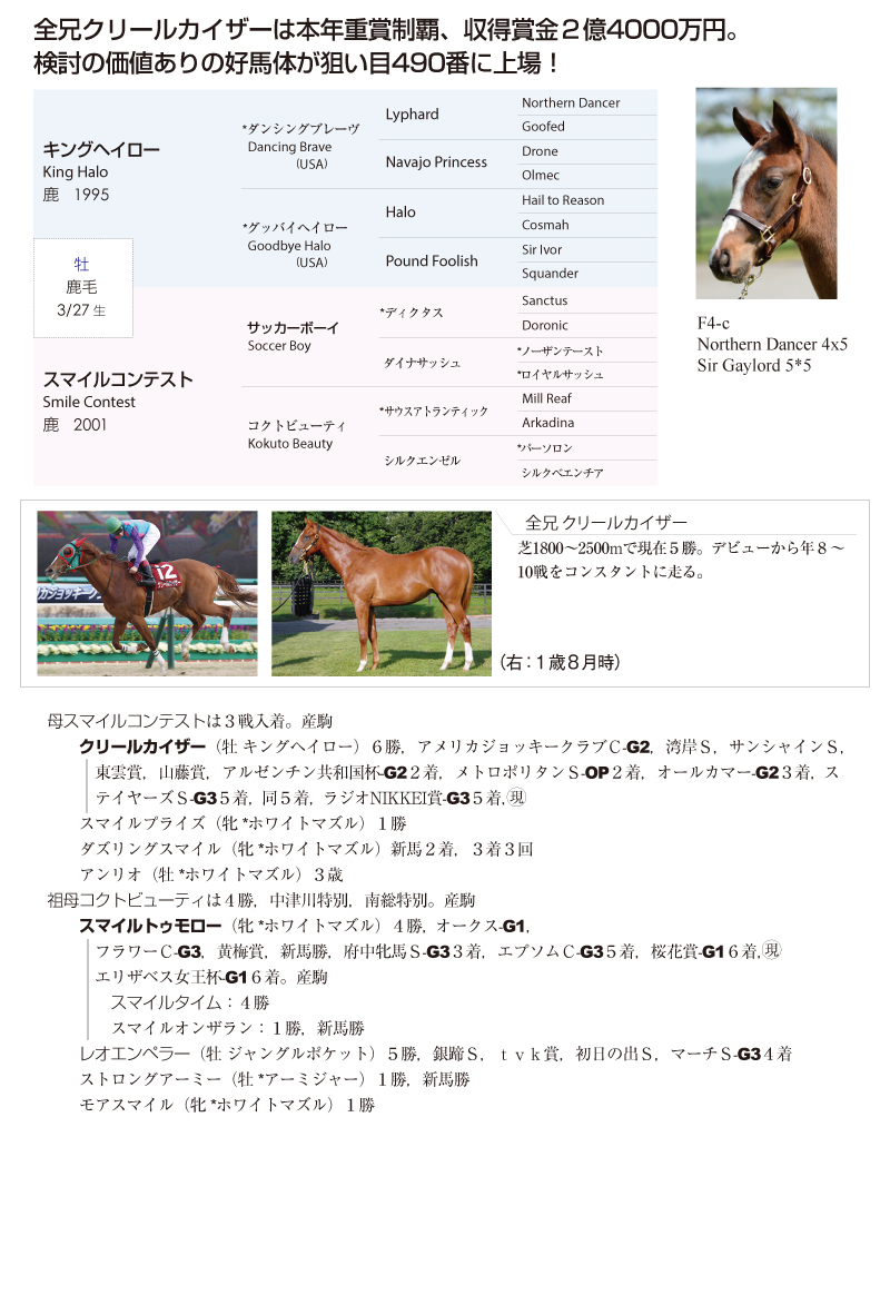 スマイルコンテスト2015基本情報