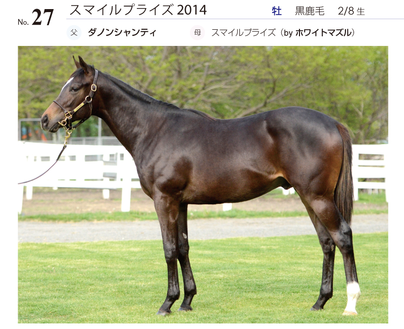 スマイルプライズ2014