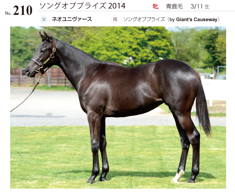 ソングオブプライズ2014全身写真