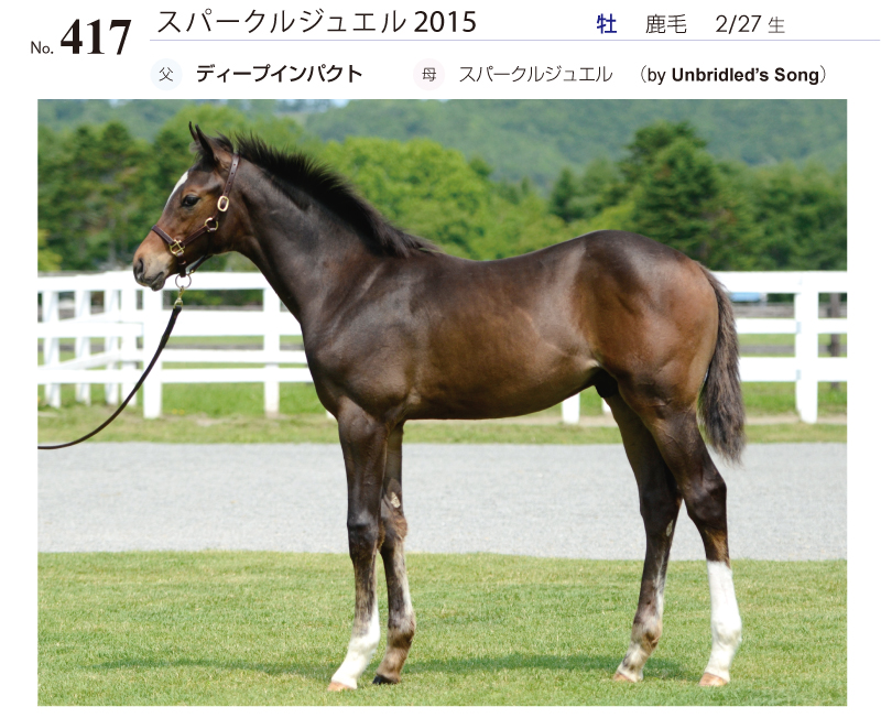 スパークルジュエル2015全身写真
