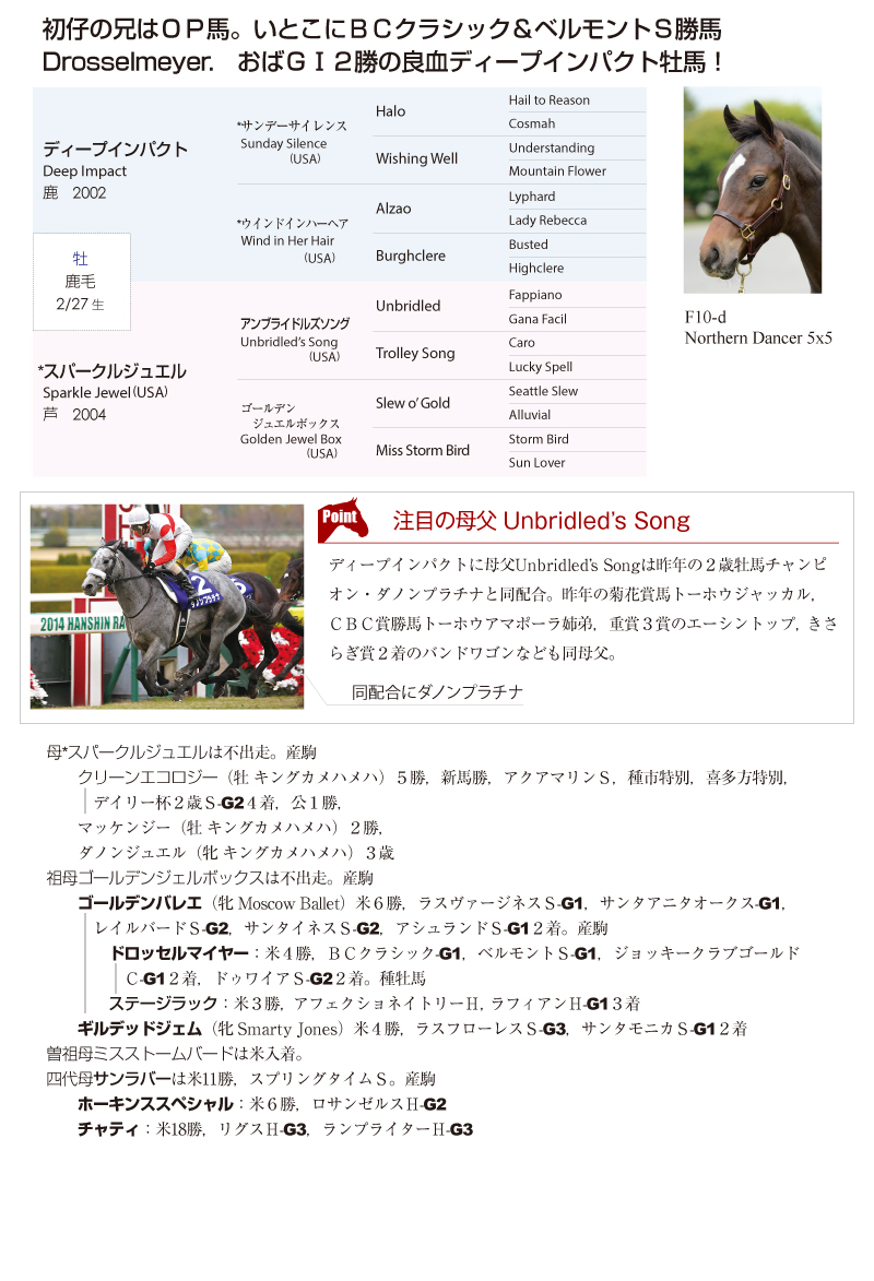 スパークルジュエル2015基本情報