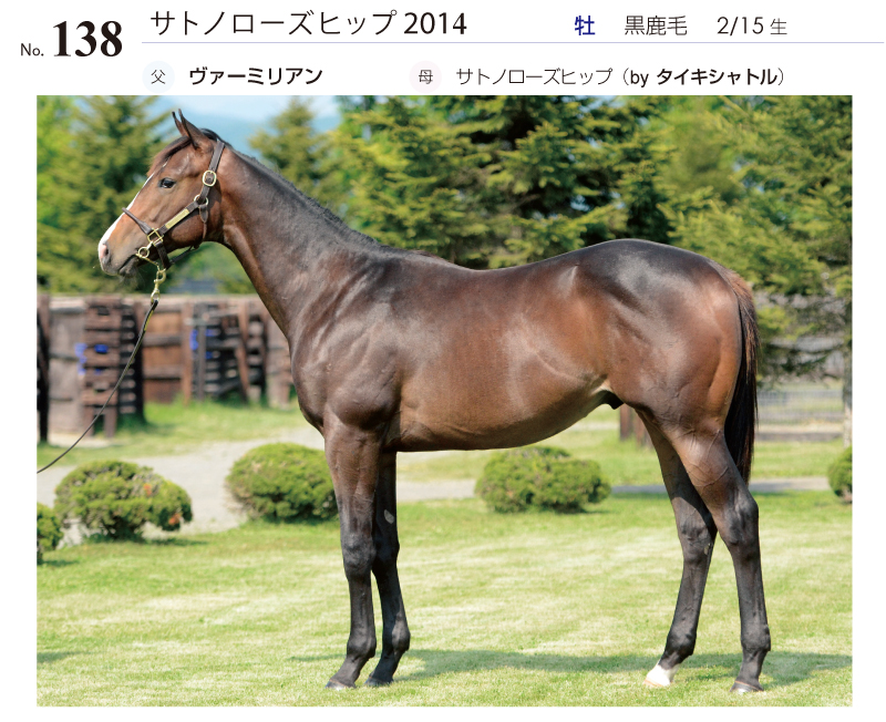 サトノローズヒップ2014全身写真