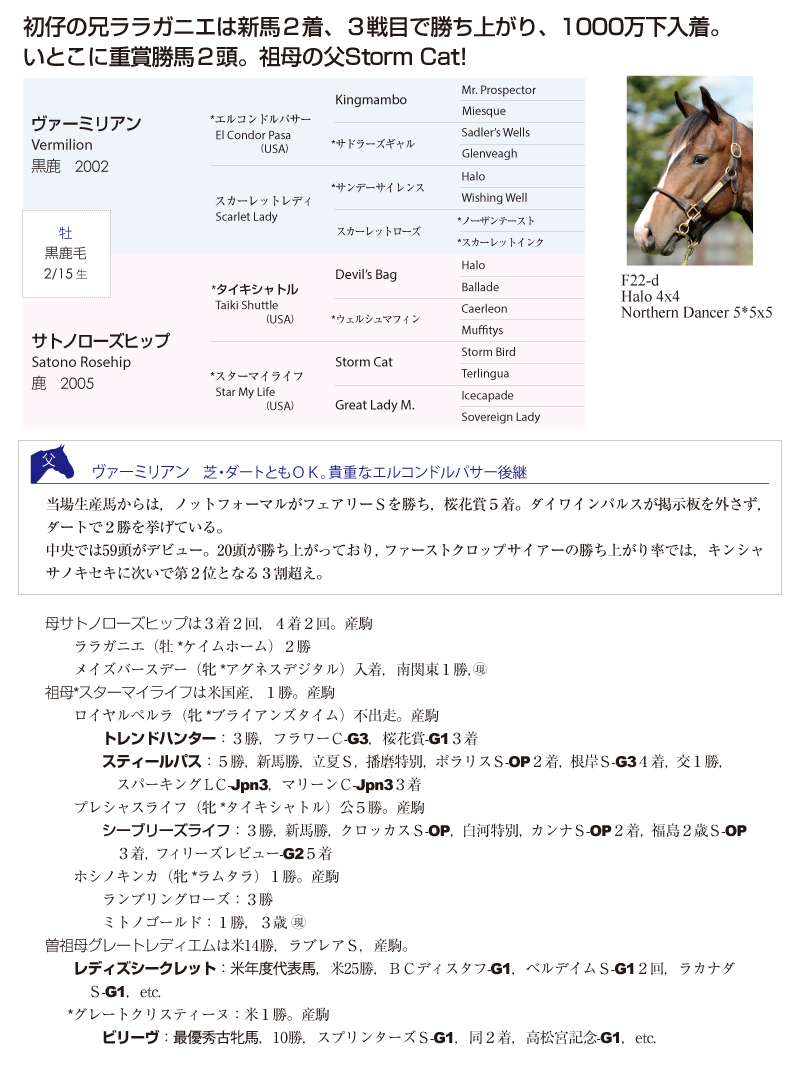 サトノローズヒップ2015基本情報