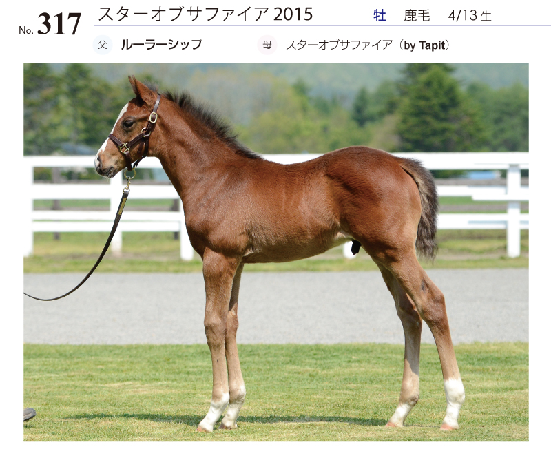 スターオブサファイア2015全身写真