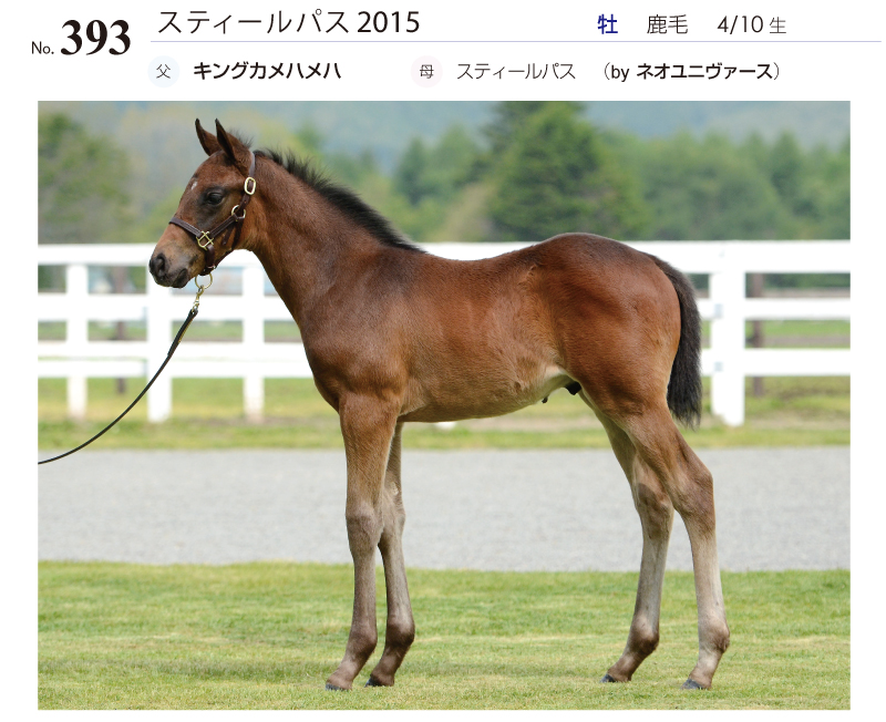 スティールパス2015全身写真