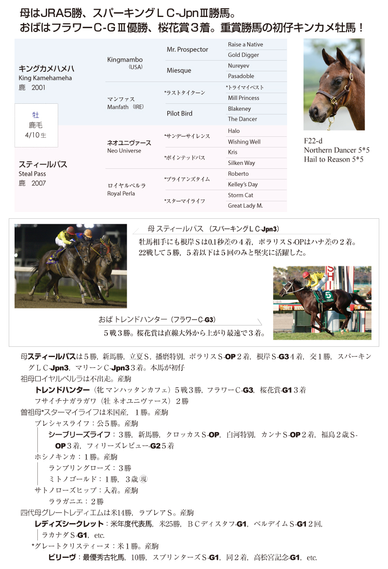 スティールパス2015基本情報