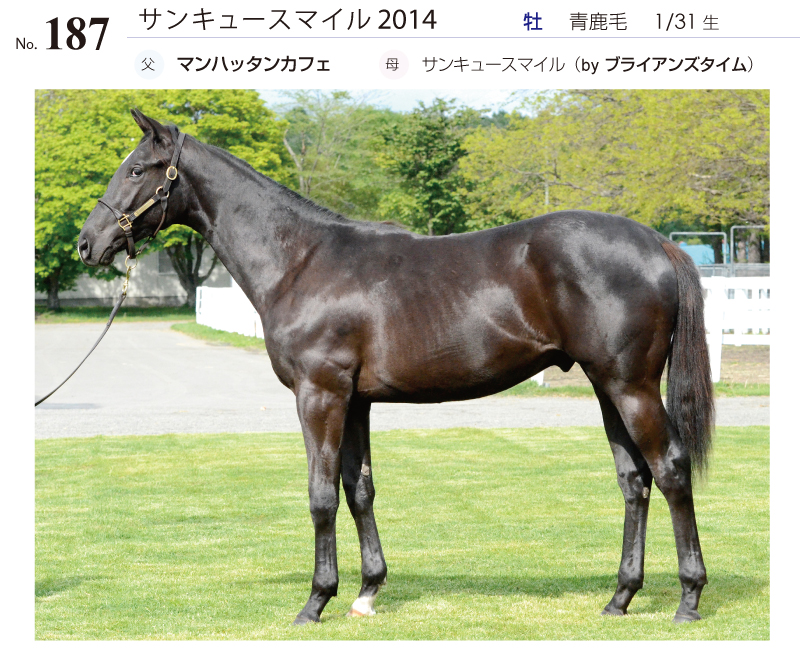 サンキュースマイル2014全身写真