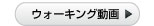 映像を再生する