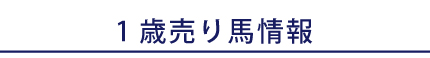 その他１歳馬のご紹介